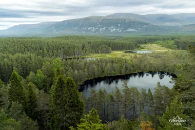 Uath Lochans and Inshriach pine forest Uath Lochans and Inshriach pine forest