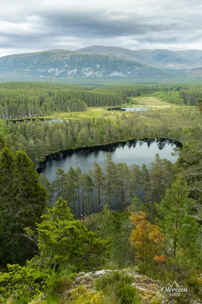Uath Lochans and Inshriach pine forest Uath Lochans and Inshriach pine forest