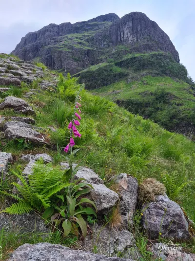 Aonach Dubh Aonach Dubh