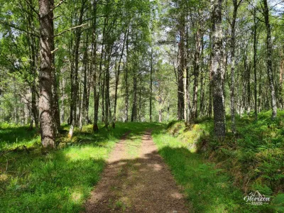 Hiking mostly on forest trails