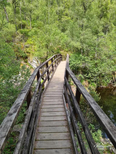 Dog Falls