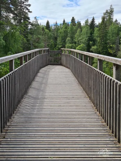 Passerelle au dessus de Plodda Falls