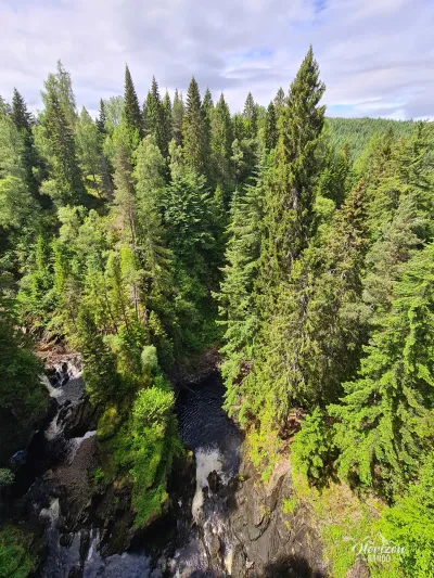 Plodda Falls