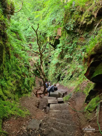 Steps down into the gorge Steps down into the gorge