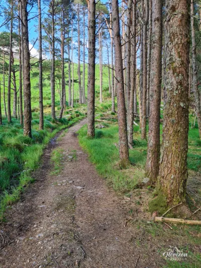 A short passage through the undergrowth A short passage through the undergrowth