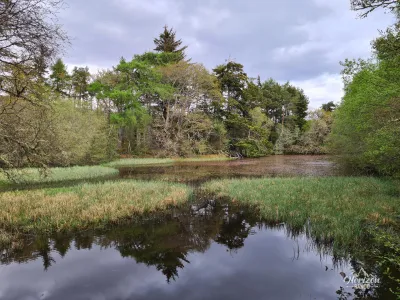 An enchanting Loch