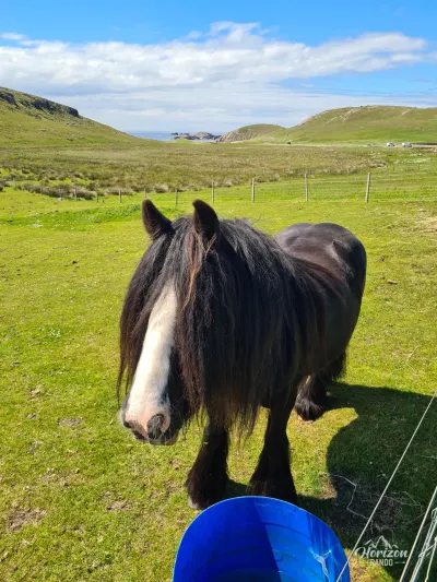 Cheval