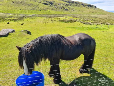 Cheval