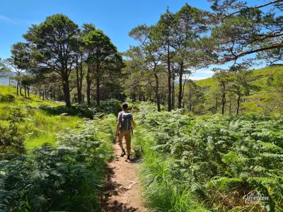 Back for a short while in the shade of the forest Back for a short while in the shade of the forest