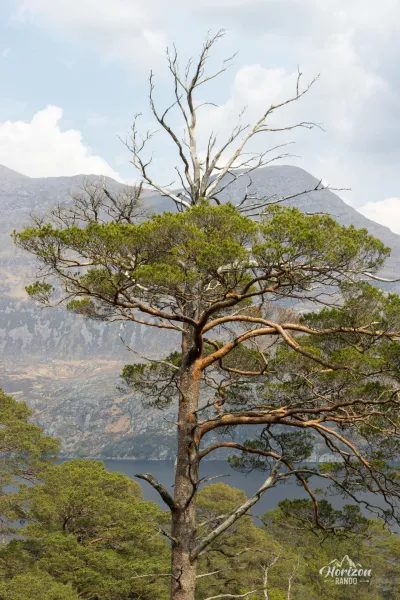 Loch Maree et Slioch