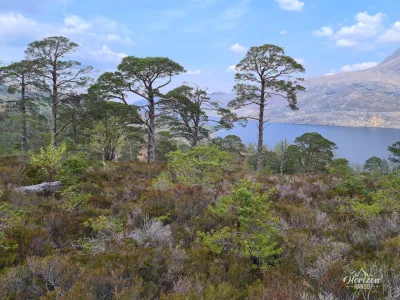 Loch Maree
