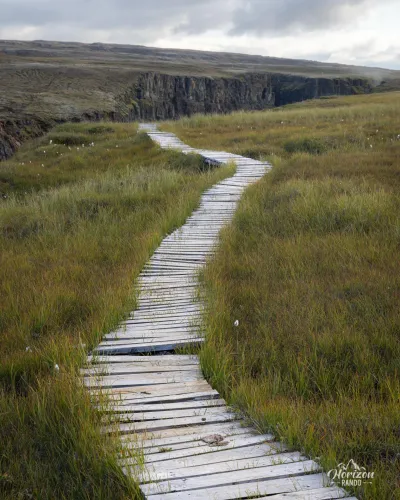 Trails in marshy areas Trails in marshy areas