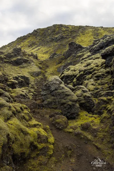 Inside the crater Inside the crater