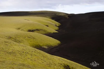 Contrast between yellow moss and lava field Contrast between yellow moss and lava field