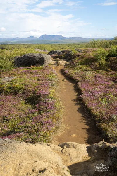Path Path
