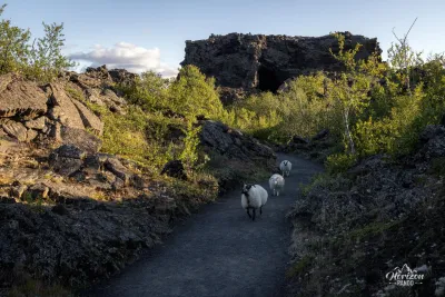 Dimmuborgir Dimmuborgir