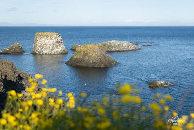 Arnarstapi coast Arnarstapi coast