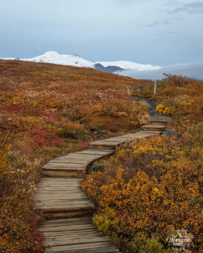 Path to Svartifoss Path to Svartifoss