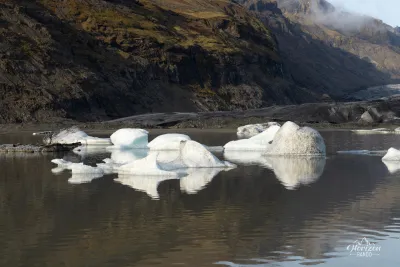 Icebergs Icebergs