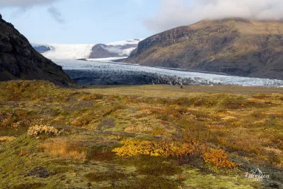 Skaftafellsjökull Glacier Skaftafellsjökull Glacier