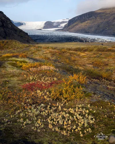 Skaftafellsjökull Glacier Skaftafellsjökull Glacier