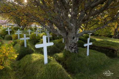 Hofskirkja cemetery Hofskirkja cemetery