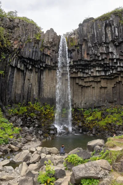 Svartifoss Svartifoss