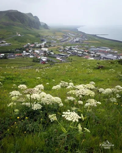 Vik