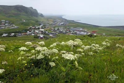 Vik