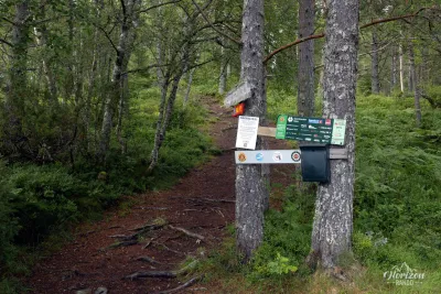 Start of the hike in the forest Start of the hike in the forest