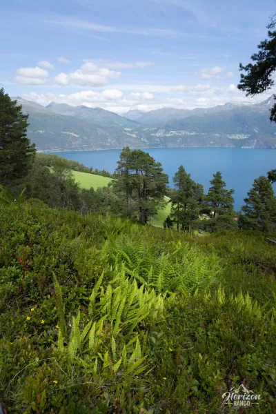 Sunnylvsfjorden Sunnylvsfjorden