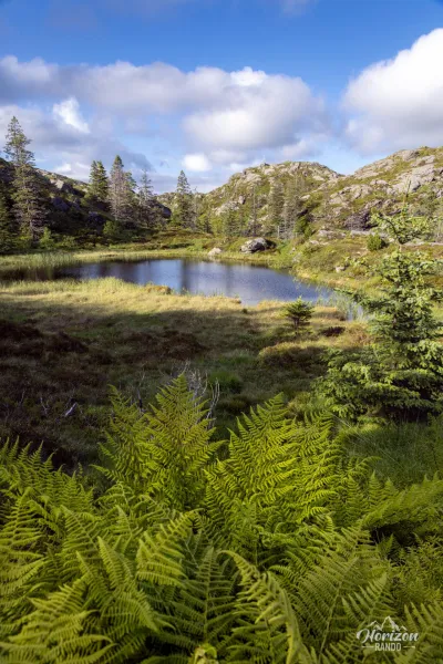 Lush nature just a stone's throw from the hustle and bustle of Bergen Lush nature just a stone's throw from the hustle and bustle of Bergen