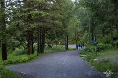 Wide trail towards Fløyen Wide trail towards Fløyen