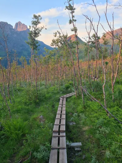 Footbridges Footbridges