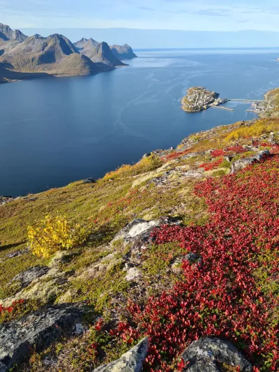 Øyfjorden and the village of Husøy Øyfjorden and the village of Husøy