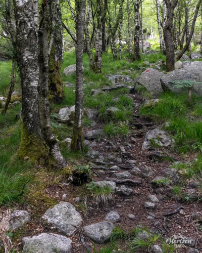 Pleasant marked forest trail Pleasant marked forest trail
