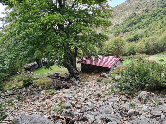 GR20 Étape 10 – De Vizzavona à Capannelle