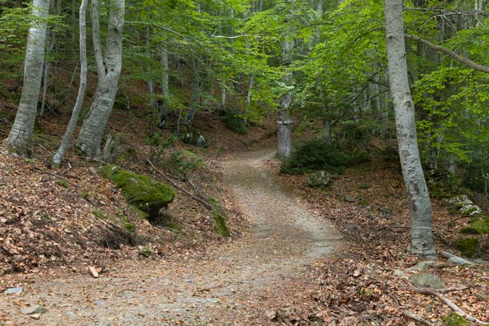 Monte San Petrone Hike