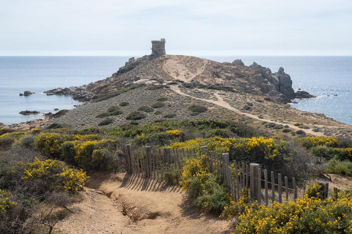 Punta d'Omigna Hike