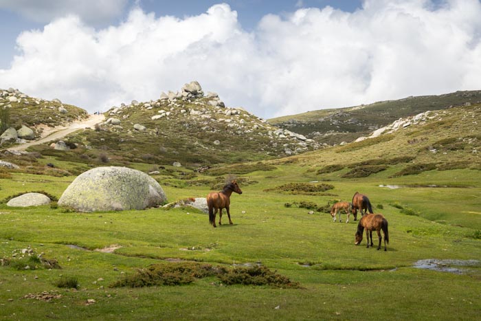 Cuscione Plateau Hike