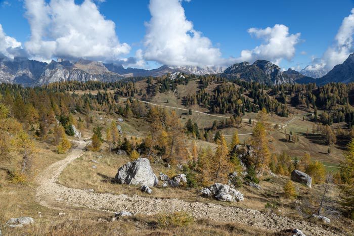 Monte Coldai Hike
