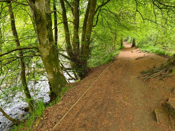 Braan Walk Hike