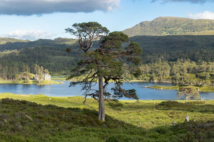 Loch Affric Hike