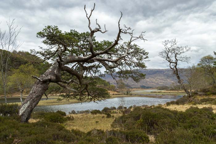 Loch Coulin Hike
