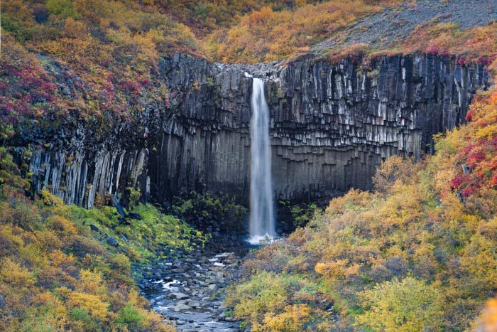 Svartifoss Waterfall Hike