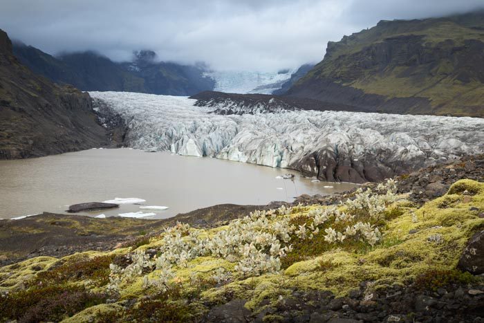 Svínafellsjökull Glacier
