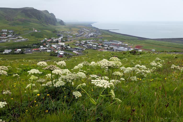 Randonnée de Reynisfjall