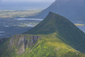 Blålyngen Blålyngen