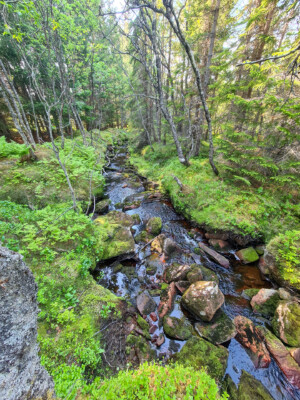 Back to Skaland Back to Skaland