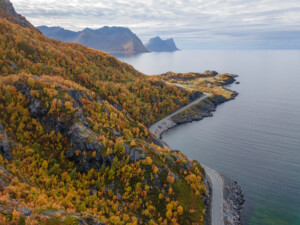 Couleurs d'automne Couleurs d'automne